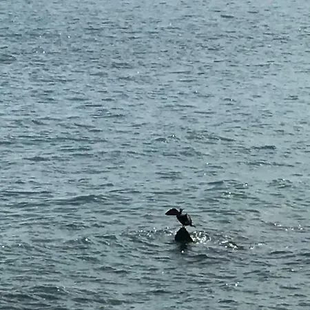 Taorminaxos'bay דירה